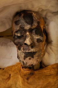 mm7864; 18e Dynastie; Nieuwe Koninkrijk; Egypte; Het Egyptisch Museum; Caïro; Mummie; Vallei der Koningen, 2005 door Kenneth Garrett
