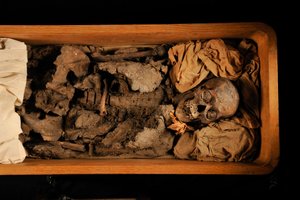 Toetanchamon; 18e Dynastie; Nieuwe Koninkrijk; het Egyptisch Museum; Caïro; DNA; monster, 2005 door Kenneth Garrett