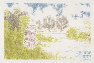 Vrouw in een gestreepte jurk, 1899-1900 (lithografie in kleuren)