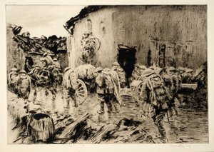 Dawn, de 75