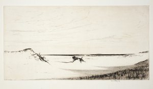 Zand en zee, Cape Cod