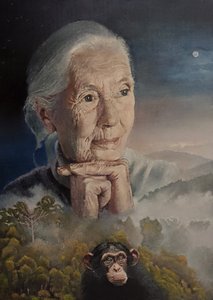 We zijn allemaal verbonden (De Wijsheid van Jane Goodall)