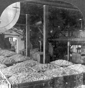 Papier maken van lompen, Holyoke, Massachusetts, VS door Keystone View Company