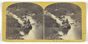 De kabbelende beek, 185575. Makers: Kilburn Brothers, BW Kilburn door Kilburn Brothers, BW Kilburn