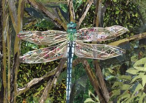 Turquoise Libel