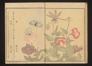 Vlinders en libel bij klaprozen door Kitagawa Utamaro