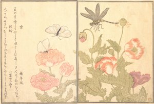 Vlinder Cho, Libelle Kagero of Tonbo door Kitagawa Utamaro