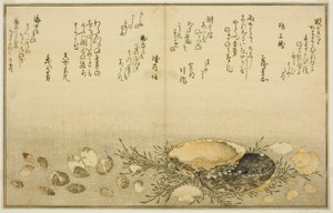 Chidori-gai, itaya-gai, awabi, utsuse-gai, asari-gai, en monoara-gai, uit het geïllustreerde boek 