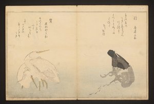 Aalscholver en reiger door Kitagawa Utamaro