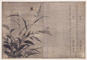Krekel en vuurvliegjes, 1788 door Kitagawa Utamaro