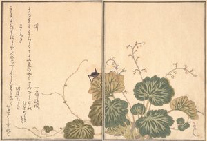 Aardworm Mimizu, Krekel Korogi..., 1788 door Kitagawa Utamaro