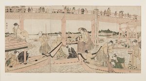 Vissersboten met netten onder de Ryogoku-brug