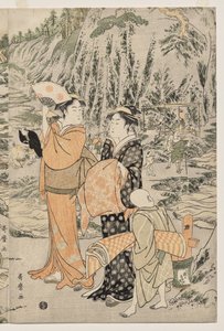Vissen op de Snijplankrots bij Enoshima door Kitagawa Utamaro