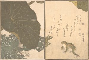 Kikker Kaeru, gouden kever Kogane mushi, 1788