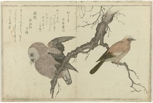 Gaai en uil door Kitagawa Utamaro