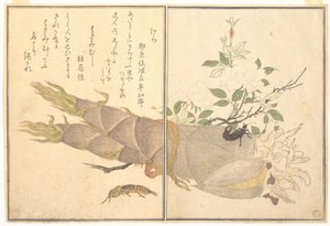 Molkrekel (Kera); Oorworm (Hasami-mushi), uit het prentenboek over kruipende beestjes (Ehon mushi erami) door Kitagawa Utamaro
