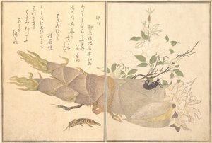 Mollenkriek Kera, oorworm, Hasami-mushi door Kitagawa Utamaro