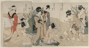 Musashi, Omi, Yamashiro en Settsu provincies door Kitagawa Utamaro