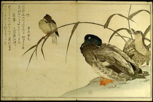 Myriade vogels: Een kyokawedstrijd (Momo chidori kyoka awase) door Kitagawa Utamaro