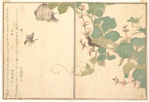  door Kitagawa Utamaro