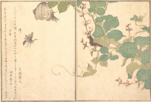 Papierwesp Hachi, harige rups Kemushi..., 1788 door Kitagawa Utamaro