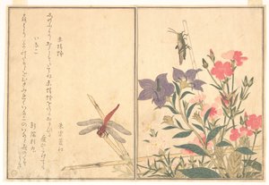  door Kitagawa Utamaro