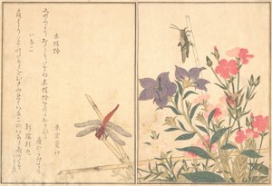 Rode libel Akatonbo, sprinkhaan Inago..., 1788 door Kitagawa Utamaro