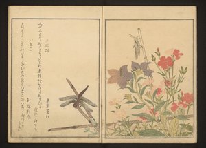 Rode libel en sprinkhaan bij anjers door Kitagawa Utamaro