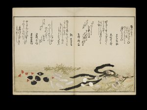 Shiohi no tsuto (Geschenken van de Eb), bekend als het Schelpenboek, 1789 door Kitagawa Utamaro