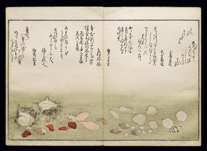 Shiohi no tsuto (Geschenken van de Eb), bekend als het Schelpenboek, 1789 door Kitagawa Utamaro
