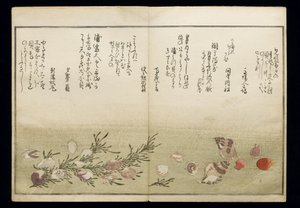 Shiohi no tsuto (Geschenken van de Eb), bekend als het Schelpenboek, 1789 door Kitagawa Utamaro
