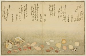 Shiro-gai, namima-gashiwa, makura-gai, iro-gai, aza-gai, sadae-gai, uit het geïllustreerde boek "Giften van de Eb (Shiohi no tsuto)" door Kitagawa Utamaro