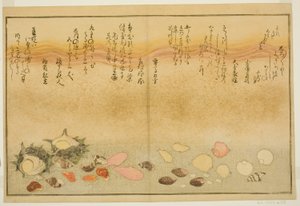 Shiro-gai, namima-gashiwa, makura-gai, iro-gai, aza-gai, sadae-gai, uit het geïllustreerde boek "Geschenken van de eb"