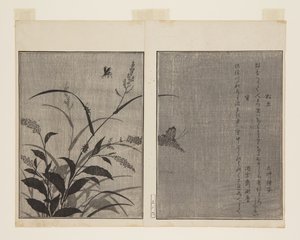 Boomkrekel en vuurvlieg door Kitagawa Utamaro