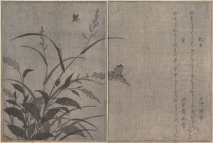 Boomkrekel Matsumushi, Vuurvlieg Hotaru..., 1788 door Kitagawa Utamaro