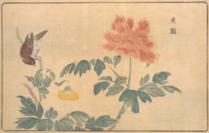 Chinese wielewaal en pioenen, 1789 door Kitao Masayoshi