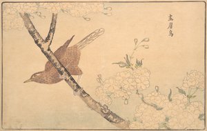 De grijze lijster door Kitao Masayoshi