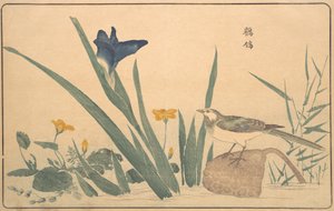De Witte Kwikstaart, 1789 door Kitao Masayoshi