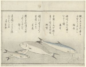 Vier vissen door Kitao Masayoshi