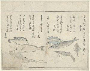 Zeedieren door Kitao Masayoshi