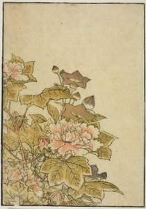 Herfstbloemen: Pioenen en Klokjesbloemen, uit het boek "Spiegel van Mooie Vrouwen van de Plezierkwartieren (Seiro bijin awase sugata kagami)," vol. 2