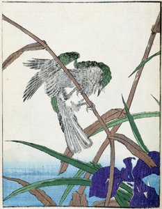 Vogel op een boom. Japanse tekening door Kitao Kosuisai door Kitao Shigemasa