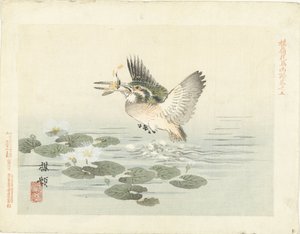 IJsvogel door Kono Bairei