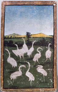 Reigers in een veld, een van een set speelkaarten die scènes van hofvalkerij uitbeelden, Boven-Rijngebied, c.1440-45