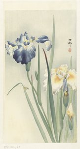 Iris door Ohara Koson