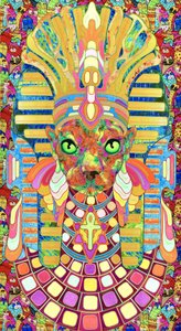 Psychedelische Faraokat
