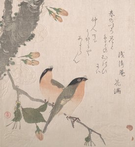 Goudvinken en kersenbloesems, 19e eeuw door Kubo Shunman