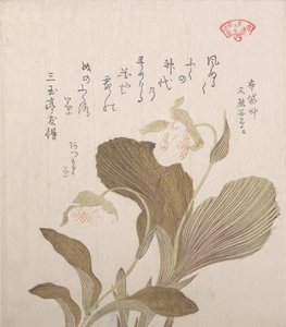 Hotei bloemen, 19e eeuw door Kubo Shunman