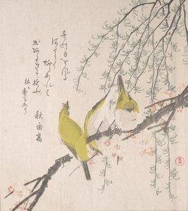 Japanse Witte Ogen met Pruimenboom en Wilg..., ca. 1810 door Kubo Shunman