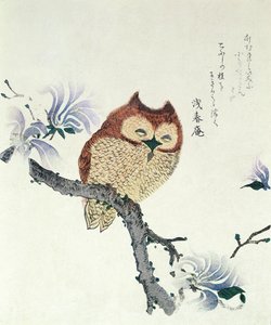 Uil op een Magnolia-tak (inkt  kleur op papier) door Kubo Shunman